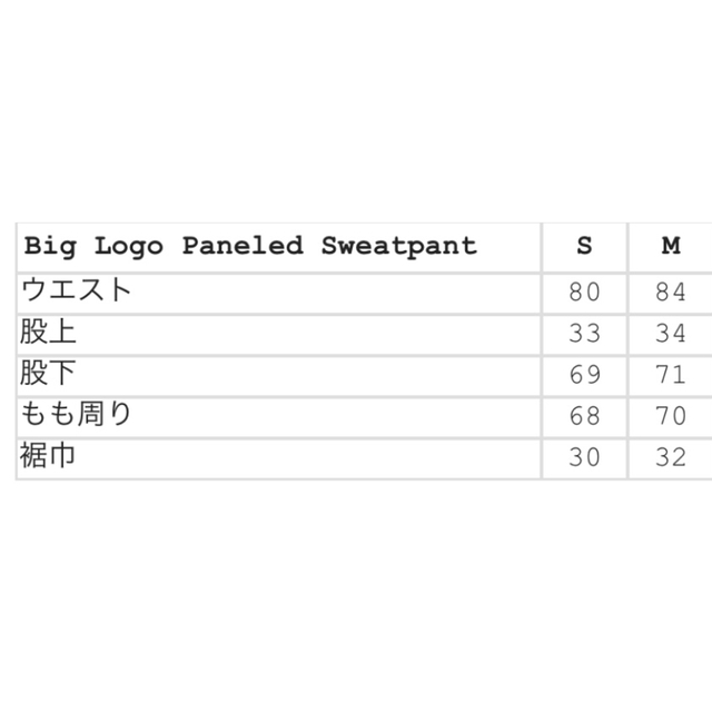 Big Logo Paneled Sweatpant 2