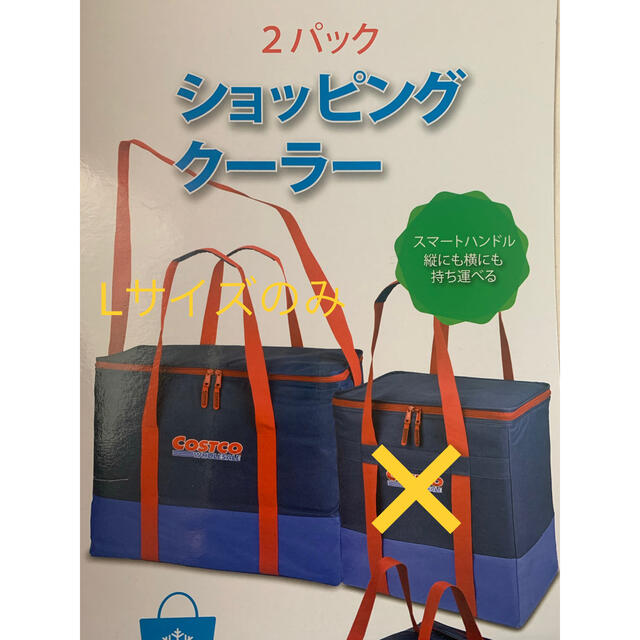 新品未使用 コストコ クーラーバッグ Lサイズ インテリア/住まい/日用品の日用品/生活雑貨/旅行(日用品/生活雑貨)の商品写真