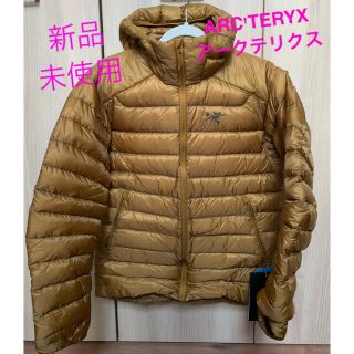 アークテリクス(ARC'TERYX)のARC'TERYX(アークテリクス) セリウム LT フーディ メンズ)(ダウンジャケット)