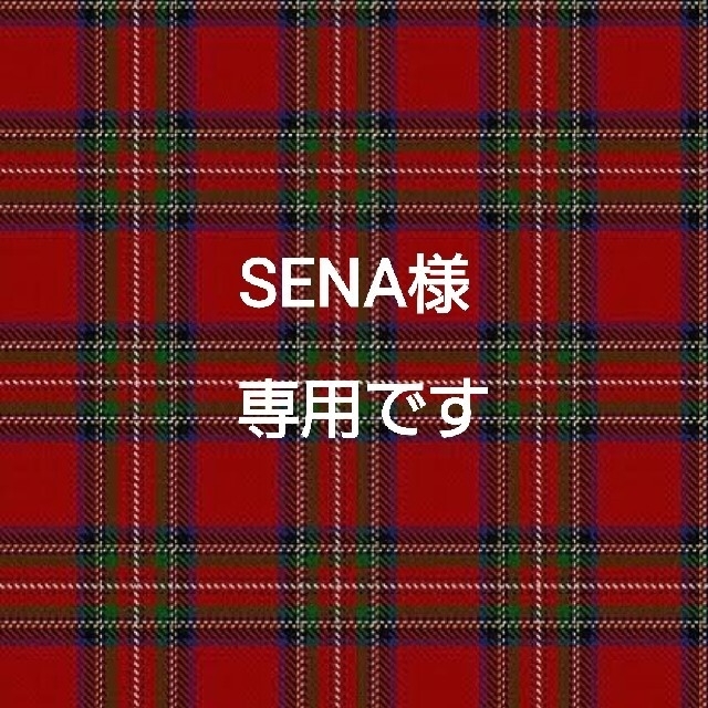 防弾少年団(BTS)(ボウダンショウネンダン)のSENA様専用です(^-^) ハンドメイドのアクセサリー(ブレスレット/バングル)の商品写真