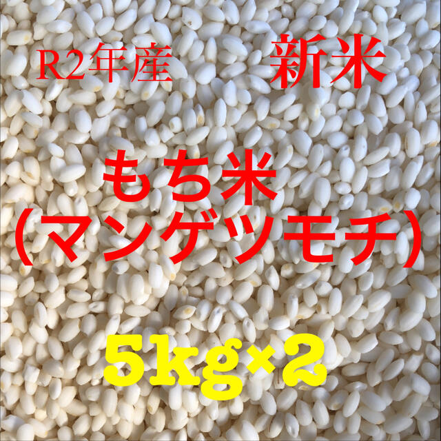 新米　もち米　マンゲツモチ　白米 10kg