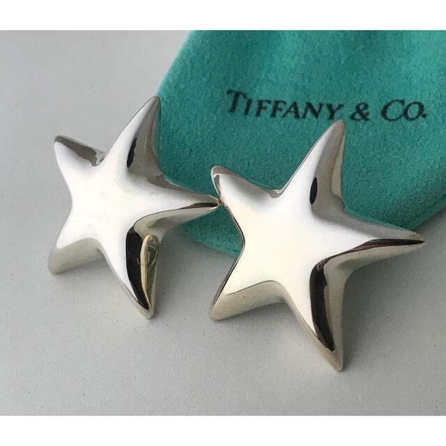 保存袋希望あればおつけできます希少✨TIFFANY ティファニー イヤリング リーフ シルバー 925