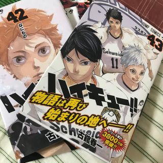 ハイキュー　1〜43巻(少年漫画)