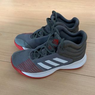 アディダス(adidas)のバスケットシューズ(バスケットボール)