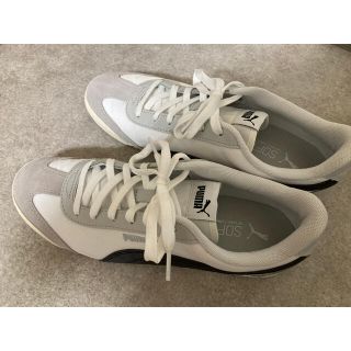 プーマ(PUMA)のpuma チュリーノ　26センチ(スニーカー)