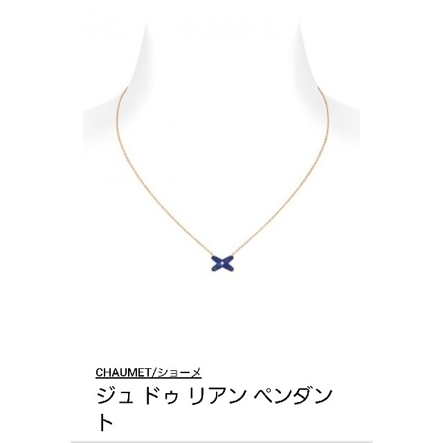 CHAUMET(ショーメ)の【新品未使用・希少】CHAUMET ジュ ドゥ リアン ペンダント レディースのアクセサリー(ネックレス)の商品写真