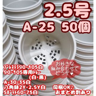 プラ鉢2.5号【A-25】50個 スリット鉢 丸 プレステラ 多肉植物(プランター)