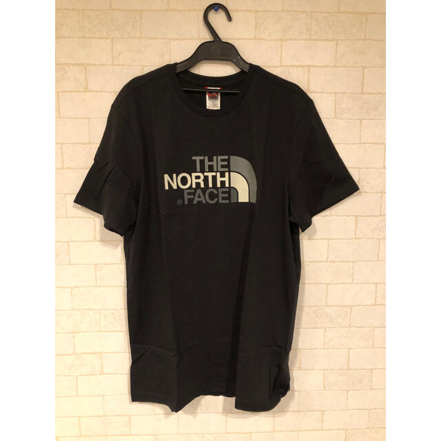 THE NORTH FACE(ザノースフェイス)のTHE NORTH FACE ハーフドームTシャツ メンズのトップス(Tシャツ/カットソー(半袖/袖なし))の商品写真