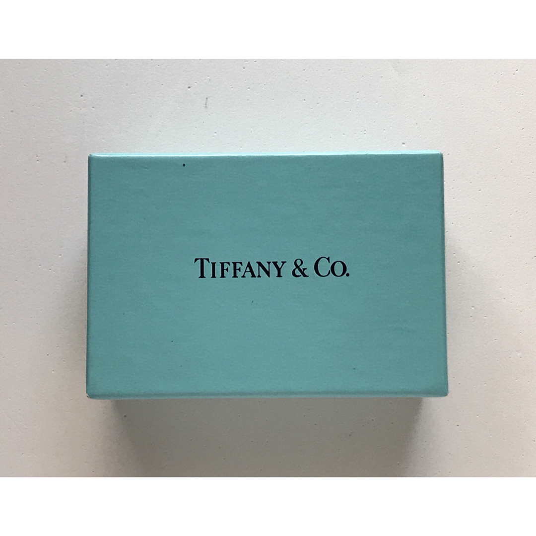 Tiffany & Co.(ティファニー)のTiffany ダブルロープ ネックレス 美品 レディースのアクセサリー(ネックレス)の商品写真