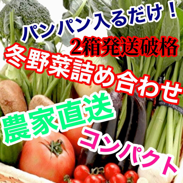 セール‼️破格2箱発送‼️冬野菜詰め合わせコンパクトぱんぱん発送‼️ 食品/飲料/酒の食品(野菜)の商品写真