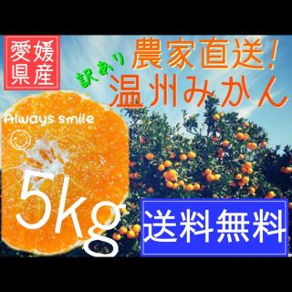 愛媛県産　訳ありみかん🍊5キロ(フルーツ)