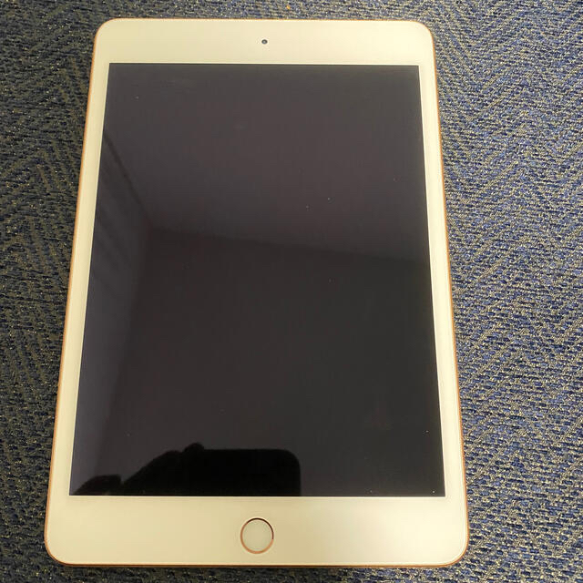 iPad mini 256GB Applepencilセット