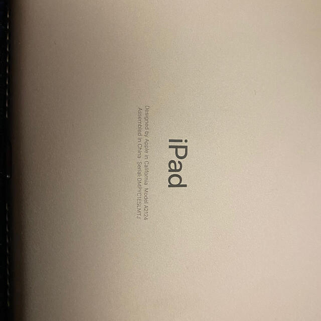 iPad mini 256GB Applepencilセット