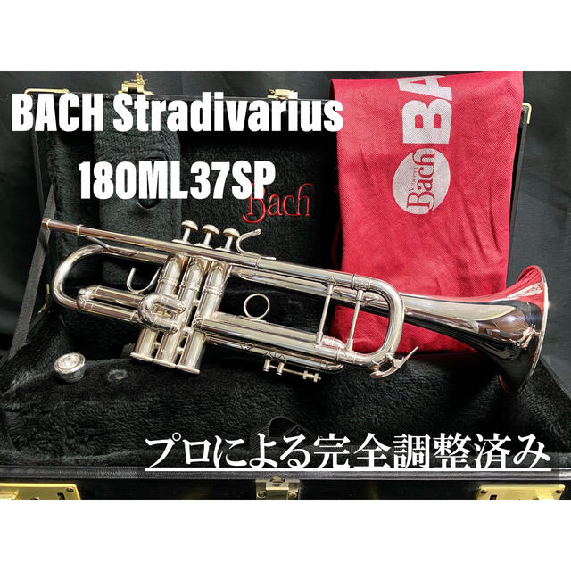 【良品 メンテナンス済】BACH  180ML37SP トランペット