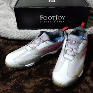 フットジョイ(FootJoy)のジャイ様専用  フットジョイ-フリースタイル2.0(その他)