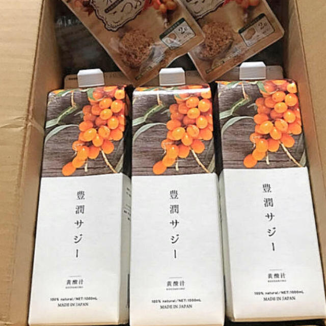 豊潤サジー3本セット 食品/飲料/酒の健康食品(ビタミン)の商品写真