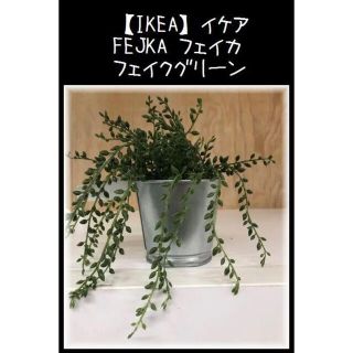 イケア(IKEA)の鉢カバー付【IKEA】グリーンネックレス FEJKA フェイカ　人工観葉植物(置物)