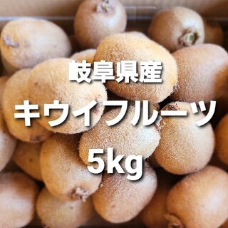 ⑤06 岐阜県産 無農薬 キウイフルーツ 5kg お得！(フルーツ)