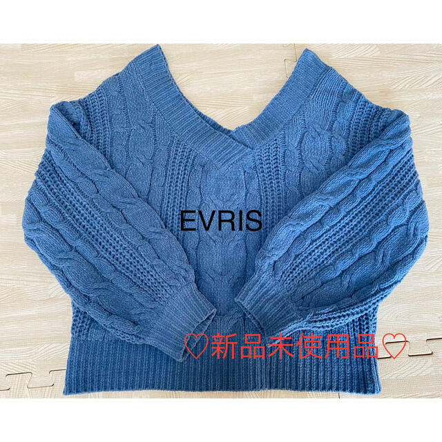 EVRIS(エヴリス)の【新品未使用品】EVRIS 肌触りの良いモール糸ニット レディースのトップス(ニット/セーター)の商品写真