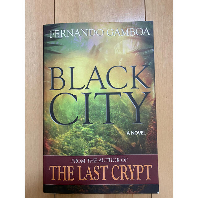 BLACK CITY  Fernando Gamboa エンタメ/ホビーの本(文学/小説)の商品写真