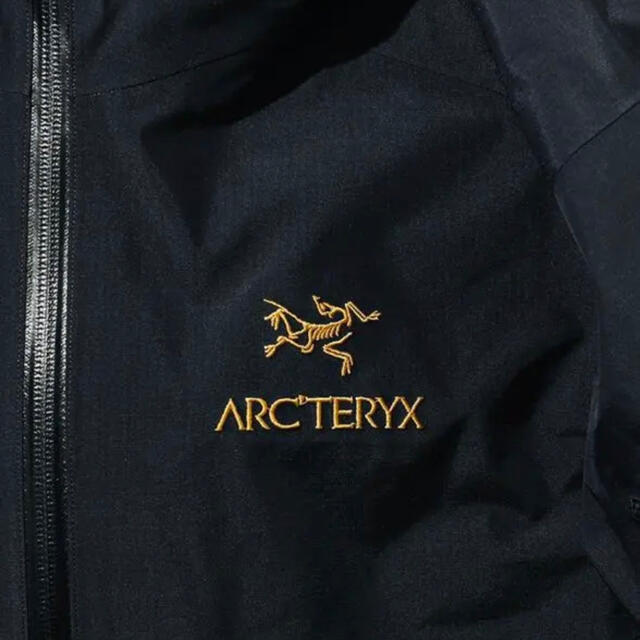 ARC'TERYX×Beams ZetaSL20ssモデル39TERYXのARC