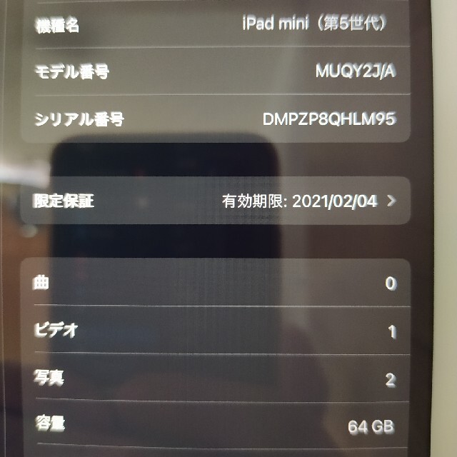 こじこじ様専用Ipad Mini5 Wifi 64Gb +ApplePencil | dondiegosanta.com