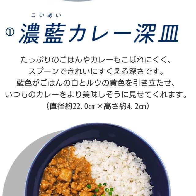 たち吉(タチキチ)の金麦　あいあいカレー皿　たち吉　濃藍皿 インテリア/住まい/日用品のキッチン/食器(食器)の商品写真