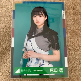 ケヤキザカフォーティーシックス(欅坂46(けやき坂46))の欅坂46 櫻坂46 原田葵 生写真(女性アイドル)