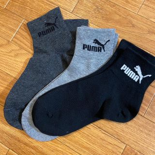 プーマ(PUMA)のPUMA ソックス3足　新品24センチくらい(ソックス)