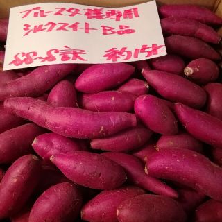 ブルースター様専用　超お得!!訳☆オーダー☆しっとり甘いシルクB品約15Kです。(野菜)