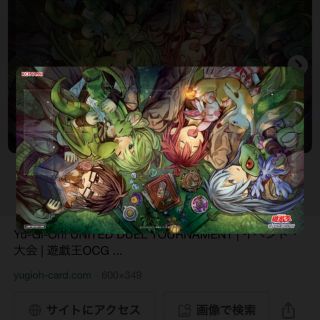 ユウギオウ(遊戯王)の精霊術の使い手　プレイマット　遊戯王　YUDT(カードサプライ/アクセサリ)