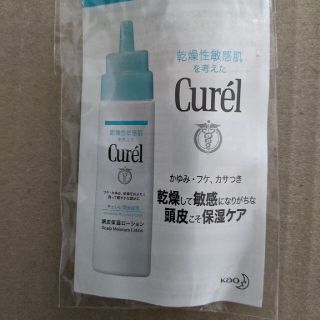 キュレル(Curel)のキュレル 頭皮保湿ローション(スカルプケア)