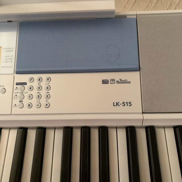 定番新品 カシオ電子キーボード LK-515 nfC7x-m42463884673 人気超激得
