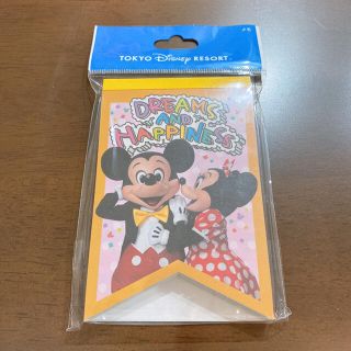 ディズニー(Disney)のディズニーリゾート　実写　メモ(ノート/メモ帳/ふせん)