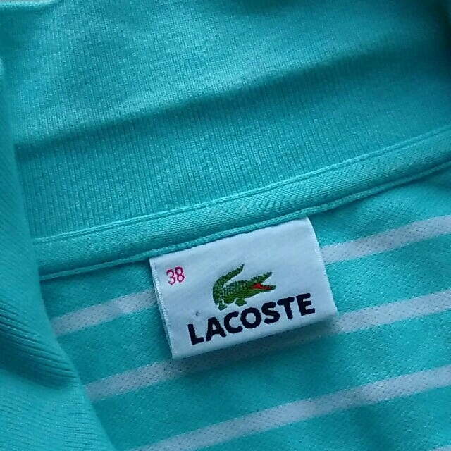 LACOSTE(ラコステ)のラコステ　ポロシャツ レディースのトップス(ポロシャツ)の商品写真