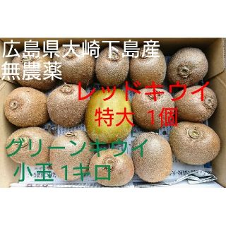 無農薬！広島県大崎下島産 グリーンキウイ1キロ&特大レッドキウイ1個 お試しセッ(フルーツ)