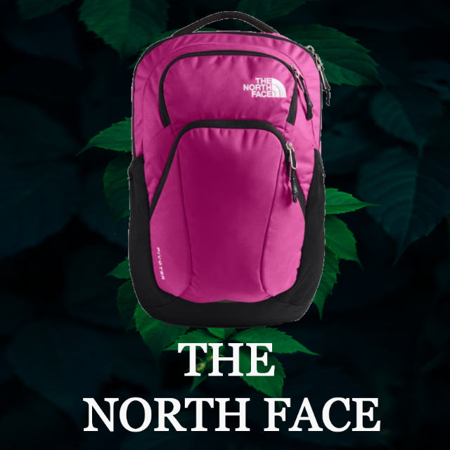 THE NORTH FACE - ★SALE☆【THE NORTH FACE】ピボットバックパック　リュックpin