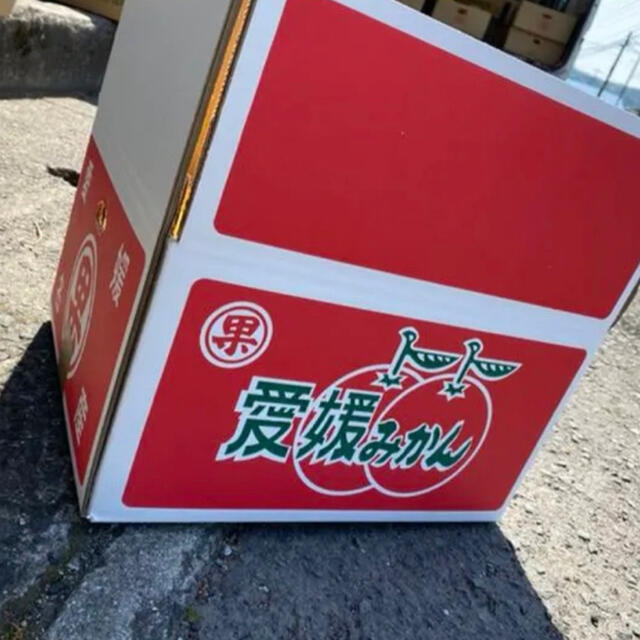 愛媛県産　愛果28号　10kg 食品/飲料/酒の食品(フルーツ)の商品写真