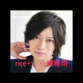 rice+:。☆様専用ﾍﾟｰｼﾞ(その他)