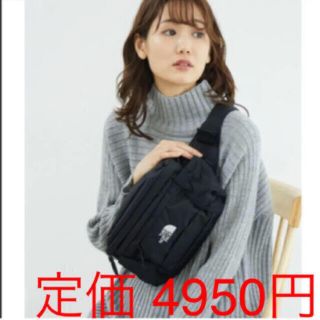 ザノースフェイス(THE NORTH FACE)の【未開封新品】ノースフェイス　ボディーバッグ　5L 黒色　男女兼用　SPINA(ボディーバッグ)