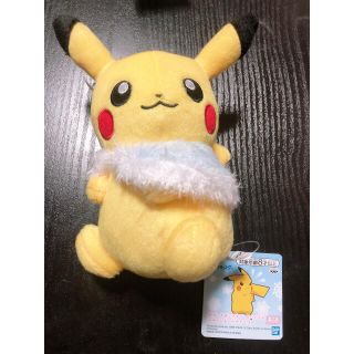 ポケモン ポンチョ ぬいぐるみの通販 75点 ポケモンのエンタメ ホビーを買うならラクマ