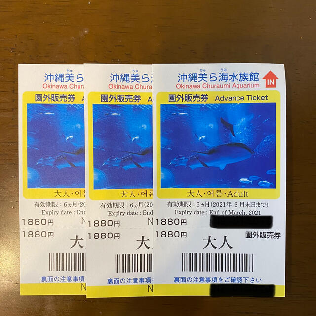 沖縄美ら海水族館　チケット
