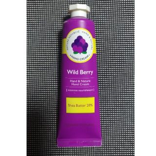 ネイチャーリパブリック(NATURE REPUBLIC)のNATURE REPUBLIC Wild Berryのハンドクリーム(ハンドクリーム)