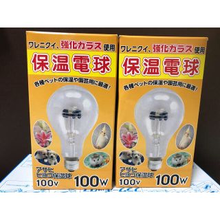 アサヒ(アサヒ)の保温電球 100w(蛍光灯/電球)