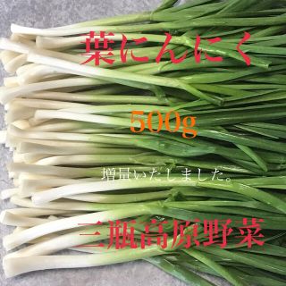 mmmocira様専用 葉にんにく 1kg(野菜)