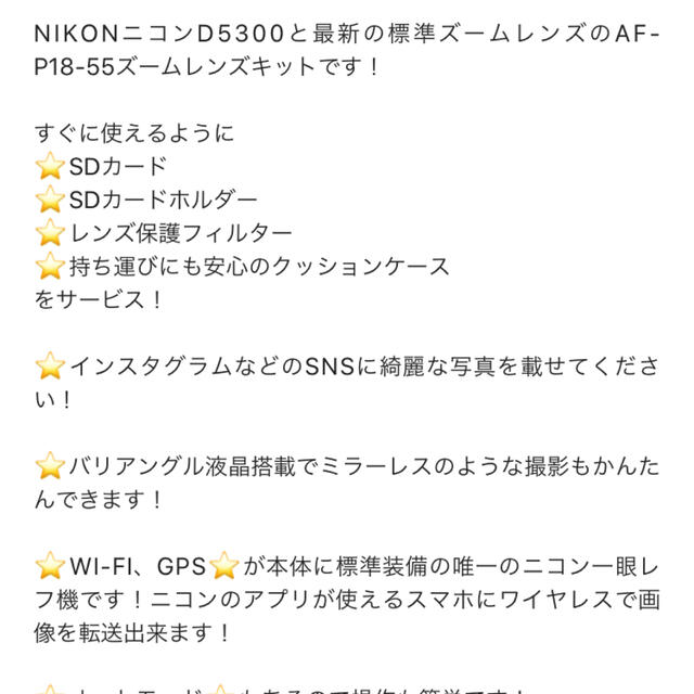 Nikon D5300  美品 wi-fiSDカード ストラップ 入門本付きNikon