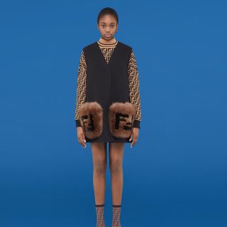 フェンディ ジレ ファーコート(レディース)の通販 8点 | FENDIの フェンディ ジレ ファーコート(レディース)の通販 8点 | FENDIの
