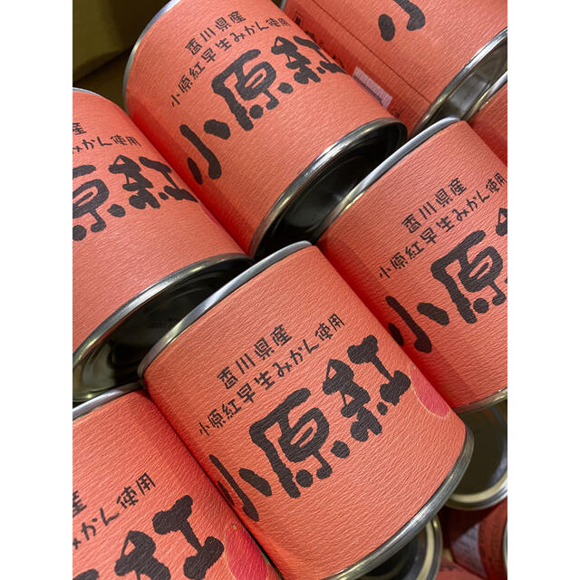 小原紅みかん缶詰 24個入り 食品/飲料/酒の加工食品(缶詰/瓶詰)の商品写真