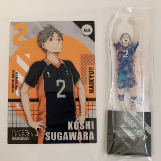 ハイキュー クリアカード&アクリルスタンド 菅原孝支 まとめ売りの ...
