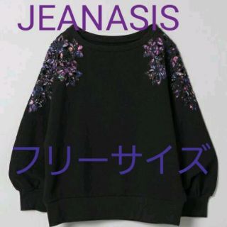 ジーナシス(JEANASIS)のJEANASIS ジーナシス トップス カットワークレースデザイントップス(カットソー(長袖/七分))